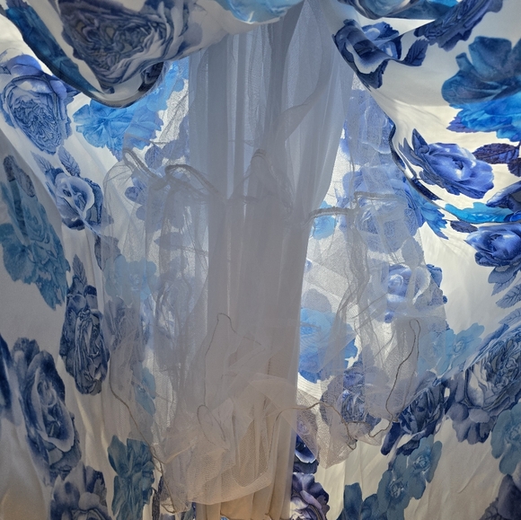 Prom Dress - Picture 8 of 9